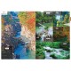 Les 1000 plus beaux paysages du Japon