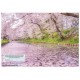 Les 1000 plus beaux paysages du Japon