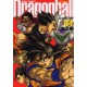 Dragon Ball Perfect Edition 34 (VO)