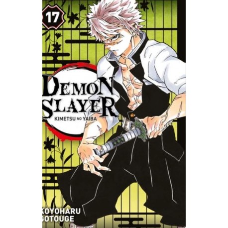 Demon Slayer 17 (VF)