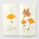 TRAVELER’S notebook Refill - MD Paper Cream 025