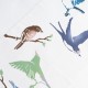 Tenuguï KAMAWANU - Oiseaux du printemps -