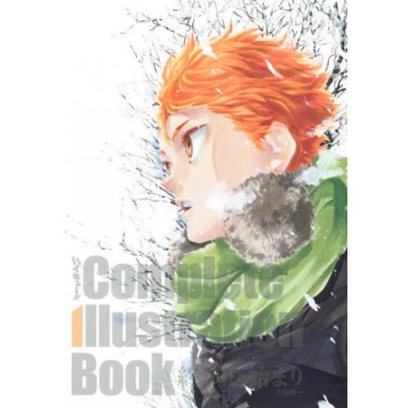 Haikyu !!  Complete Illustration Book