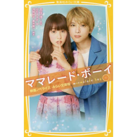 Marmalade Boy, le roman
