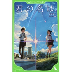 Kimi no na wa, Your name le roman
