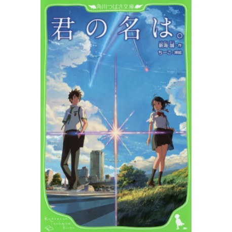 Kimi no na wa, Your name le roman