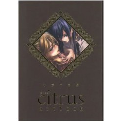 Citrus Artbook