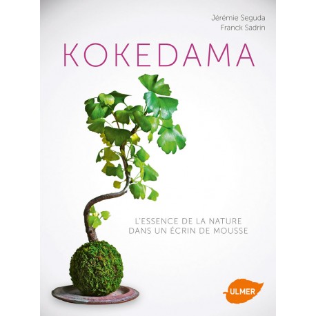 Kokedama
