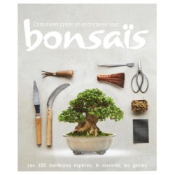 Comment créer et entretenir vos bonsaïs