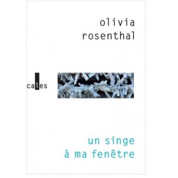 Un singe à ma fenêtre
