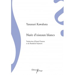 Nuée d'oiseaux blancs
