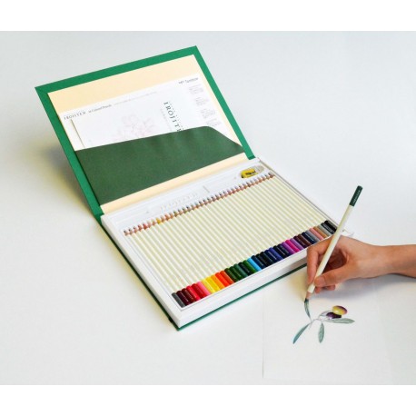 IROJITEN Selection de 36 couleurs