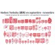 Atelier de calligraphie japonaise / 16 septembre 2023 10h30-12h