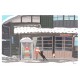 Carte postale Tabineko - Nouvelles du pays de neige -