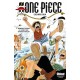 One Piece - Édition originale - T107 (VF)