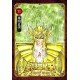 Saint Seiya - Final Edition T09 (VO)