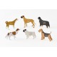 Calendrier good morning 2025 - Dog -