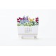 Calendrier good morning 2025 - Bloom -