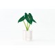 Calendrier good morning 2025 - Green -