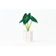 Calendrier good morning 2025 - Green -
