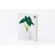 Calendrier good morning 2025 - Green -