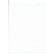 Cahier Apica