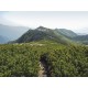 Hiking and Trekking The Japan Alps and Mount Fuji