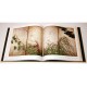 Rimpa painting Vol 1 Plantes et oiseaux