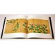 Rimpa painting Vol 2 Plantes et oiseaux