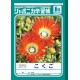 Japonica note - Kokugo 12 masu