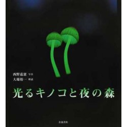Hikaru kinoko to yoru no mori