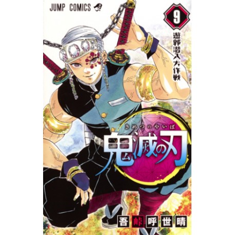 Kimetsu no Yaiba 9