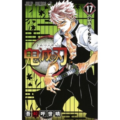 Kimetsu no Yaiba 17