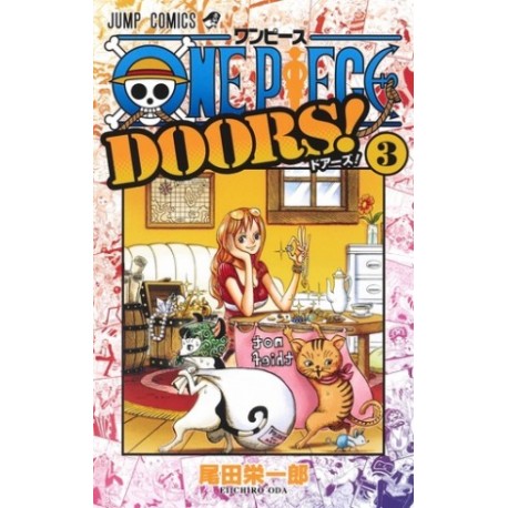 One Piece Doors ! 3