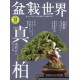 Abonnement Bonsai World