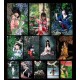 Hanafuda Kinbaku Bijin