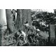 SUDA Isseï shashinshû - Kado no Tabakoya madeno Tabi -