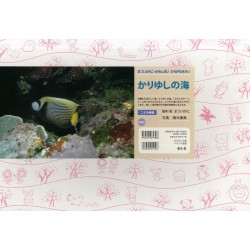 Yamanba ou comment gober une sorcière