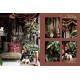 Deco Room with Plants