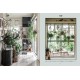 Deco Room with Plants here and there