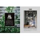 Deco Room with Plants here and there