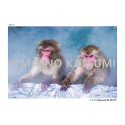 Carte postale MAENO Katsumi - Hokkaido -