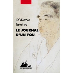 Le journal d'un fou