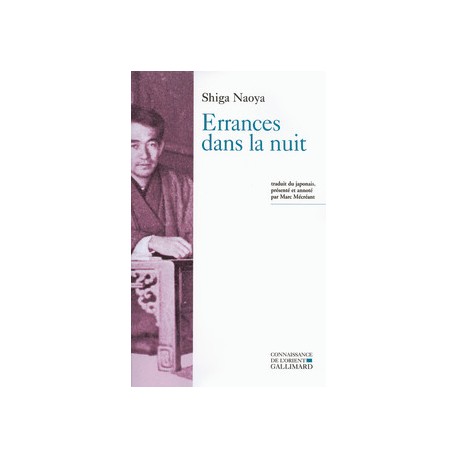Errances dans la nuit