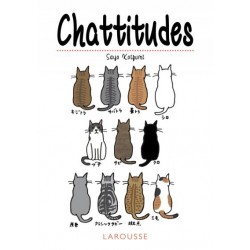 Chattitudes