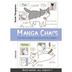 Manga chats - Ces deux chats vont vous faire craquer