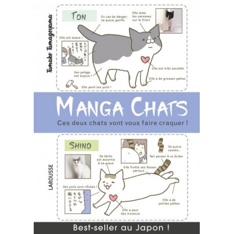 Manga chats - Ces deux chats vont vous faire craquer