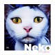 Neko Project