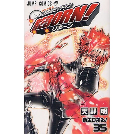 Katekyo Hitman Reborn ! 35