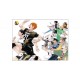 Haikyu !!  Complete Illustration Book
